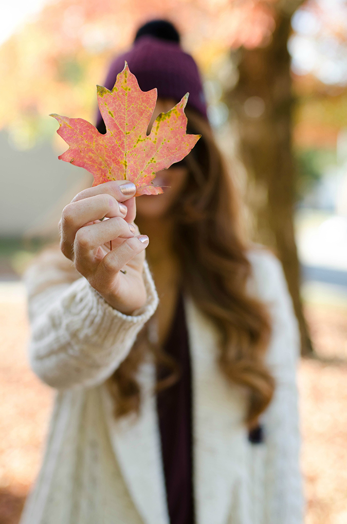 fall-leaf-pic